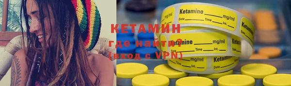 прущие грибы Абаза