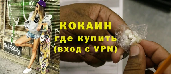 прущие грибы Абаза