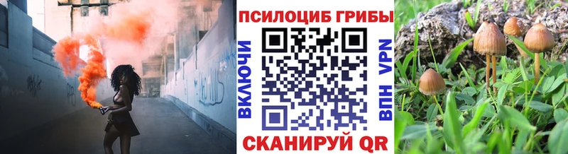 как найти Котовск Псилоцибиновые грибы мухоморы