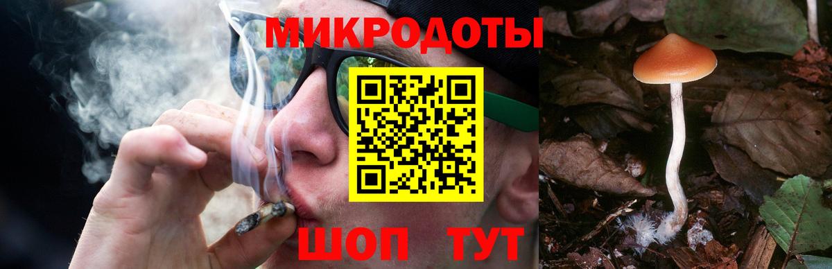 Галлюциногенные грибы прущие грибы Котовск