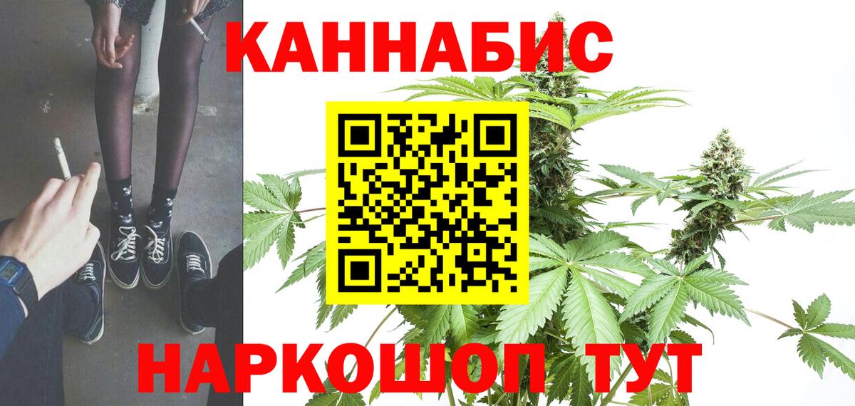 Котовск  Бошки марихуана семена  Бошки Шишки Bruce Banner  Бошки Шишки конопля  Вход с VPN 